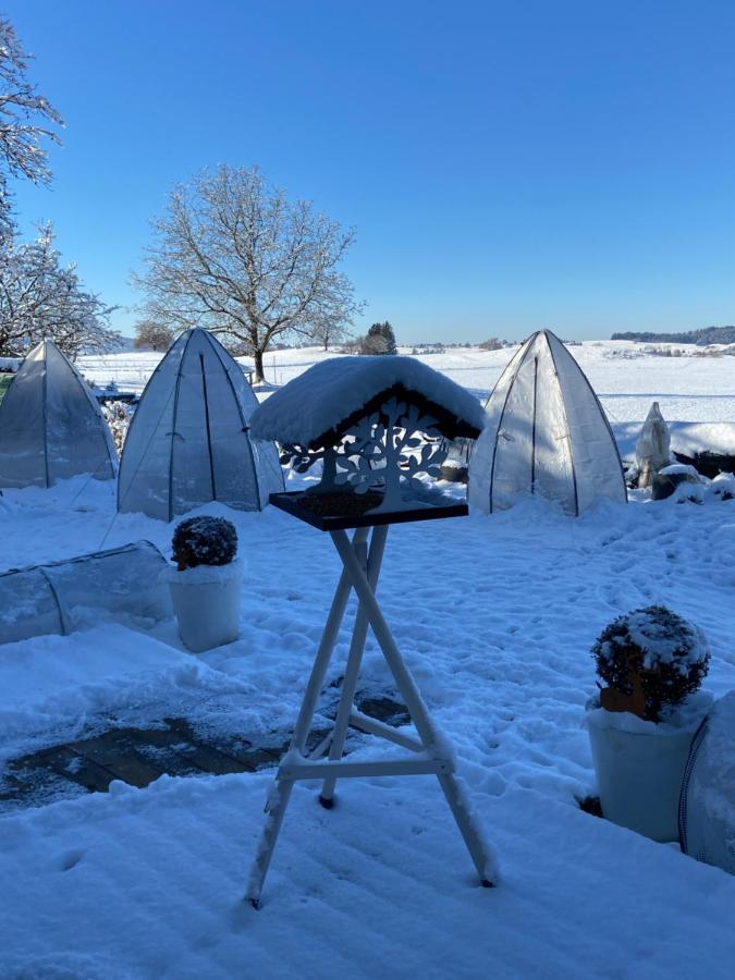 Das Blaue Haus - Ein Sommertraum Und Ein Wintermaerchen Weiler-Simmerberg Eksteriør billede