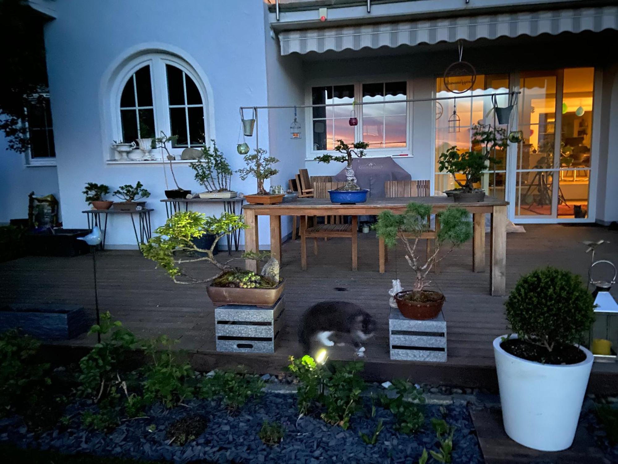 Das Blaue Haus - Ein Sommertraum Und Ein Wintermaerchen Weiler-Simmerberg Eksteriør billede